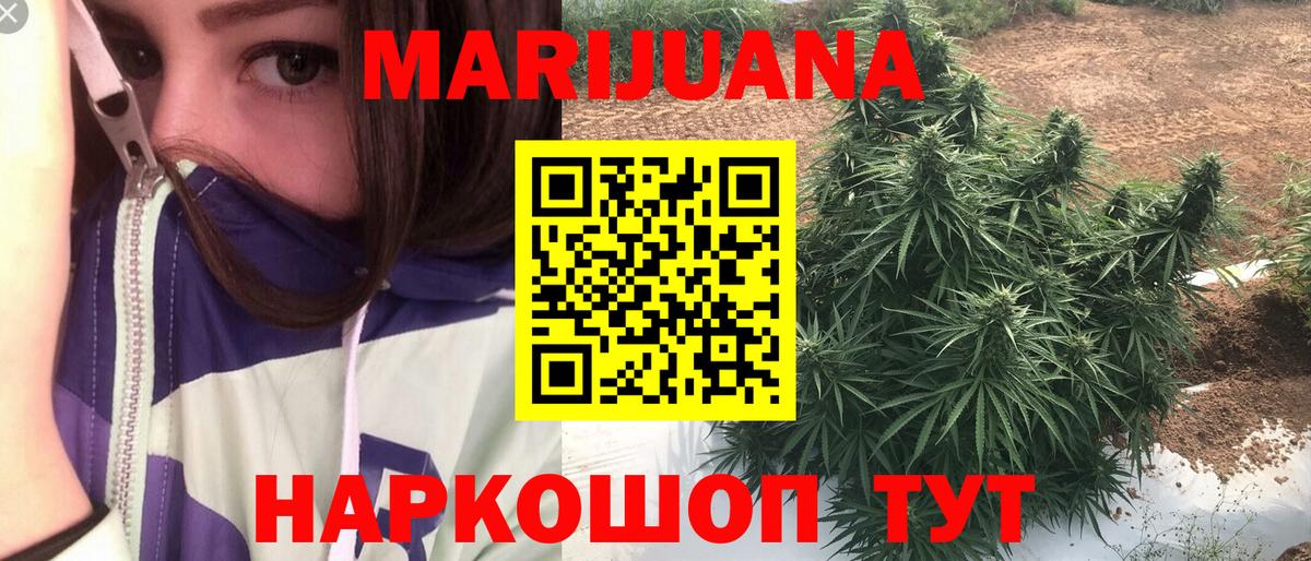 Каннабис сатива Ленинск-Кузнецкий